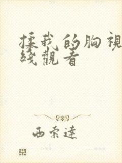 揉我的胸视频在线观看