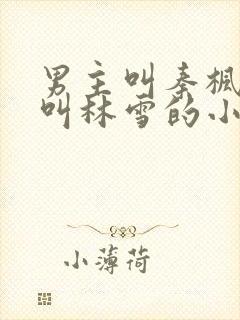 男主叫秦枫女主叫林雪的小说