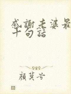 感谢老婆最经典十句话