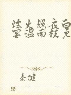 烟火照夜白沈清宴温南枝免费阅读