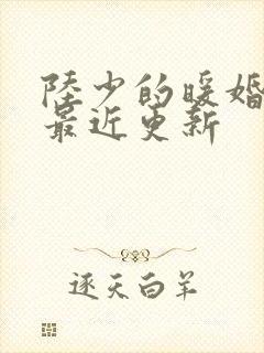 陆少的暖婚新妻最近更新