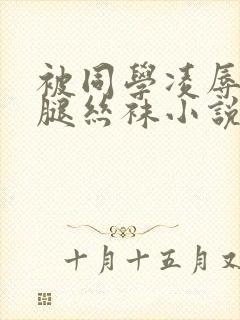 被同学凌辱的美腿丝袜小说