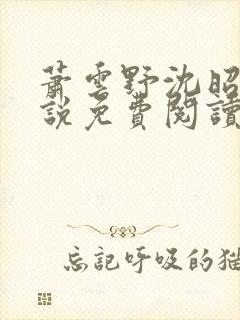 萧云野沈昭宁小说免费阅读最新章节