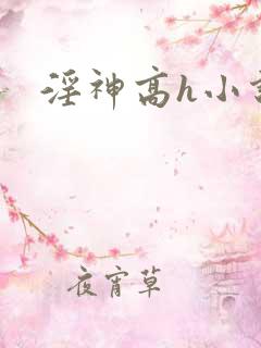 淫神高h小说