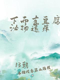 下面有豆腐渣分泌物还痒