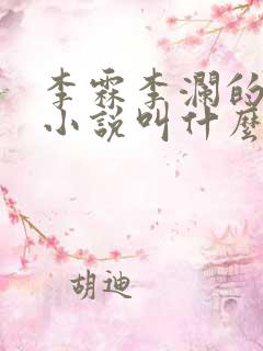 李霖李澜的官场小说叫什么