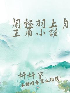 周轻羽上月天尊主角小说