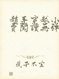 赵平穿越小说免费阅读无弹窗