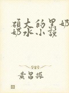 硕大的黑奶头流奶水小说