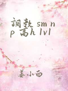 调教 sm np 高h 1v1
