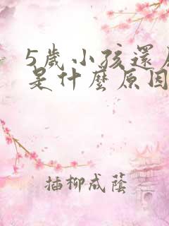 5岁小孩还尿床是什么原因