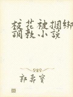 校花被捆绑玩弄调教小说