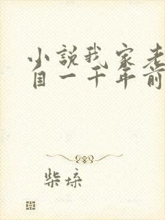 小说我家老婆来自一千年前免费看