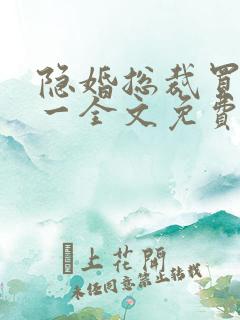 隐婚总裁买一送一全文免费阅读