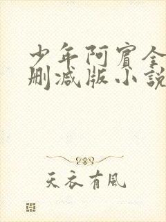 少年阿宾全集无删减版小说