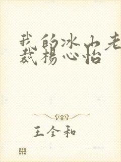 我的冰山老婆总裁杨心怡