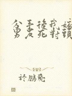 分手后我嫁给前男友死对头沈淮全文小说