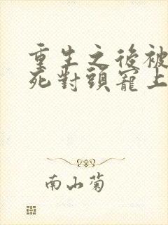 重生之后被渣男死对头宠上天短剧