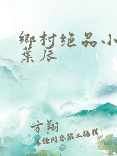 乡村绝品小神医叶辰