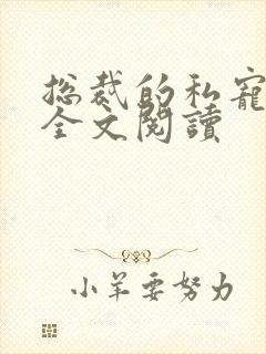 总裁的私宠甜妻全文阅读