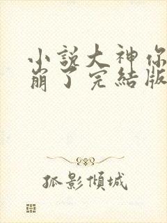 小说大神你人设崩了完结版