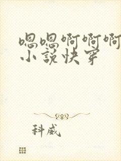 嗯嗯啊啊啊不要小说快穿