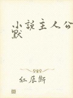 小说主人公叫沈默