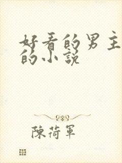 好看的男主皇帝的小说