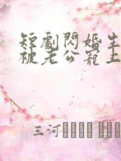 短剧闪婚生子后被老公宠上天