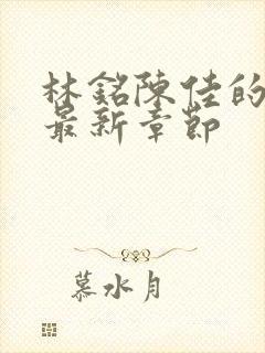 林铭陈佳的小说最新章节