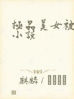 极品美女被我操小说