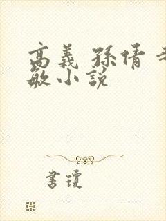 高义 孙倩 赵敏小说