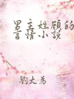 男主姓顾的现代言情小说