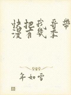 快把我哥带走动漫有几季