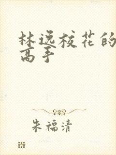 林逸校花的贴身高手