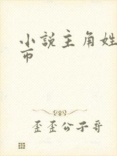 小说主角姓陈都市