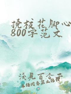 挠校花脚心作文800字范文