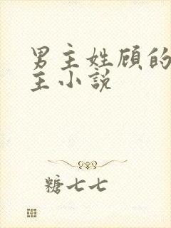 男主姓顾的双男主小说