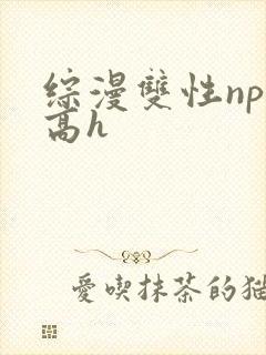 综漫双性np肉高h