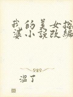 我的美女总裁老婆小说改编