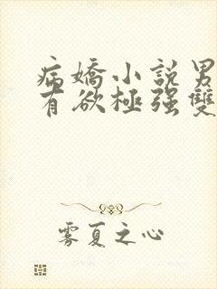 病娇小说男主占有欲极强双男主