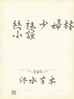 丝袜少妇林婉芸小说