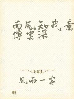 南风知我意小说傅云深