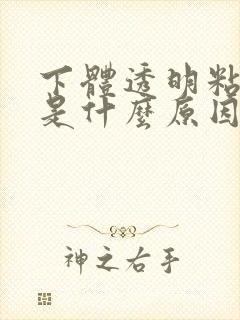 下体透明粘液多是什么原因