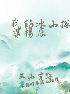 我的冰山总裁老婆杨辰