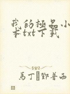 我的极品小姨全本txt下载