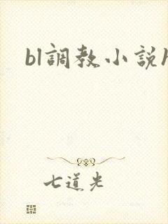 bl调教小说h