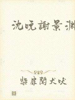 沈晚谢景渊小说