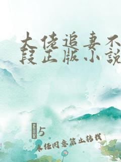 大佬追妻不择手段正版小说