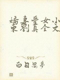 娇妻爱女小可于东刘真全文小说